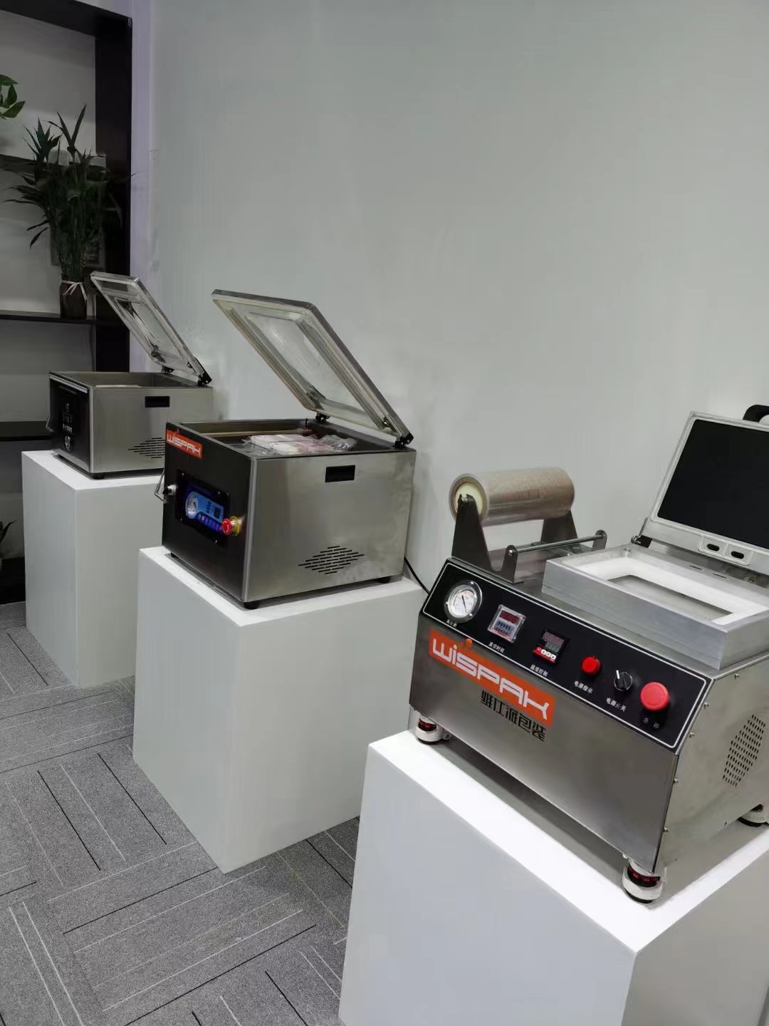 气调糖心VLOG现在观看机